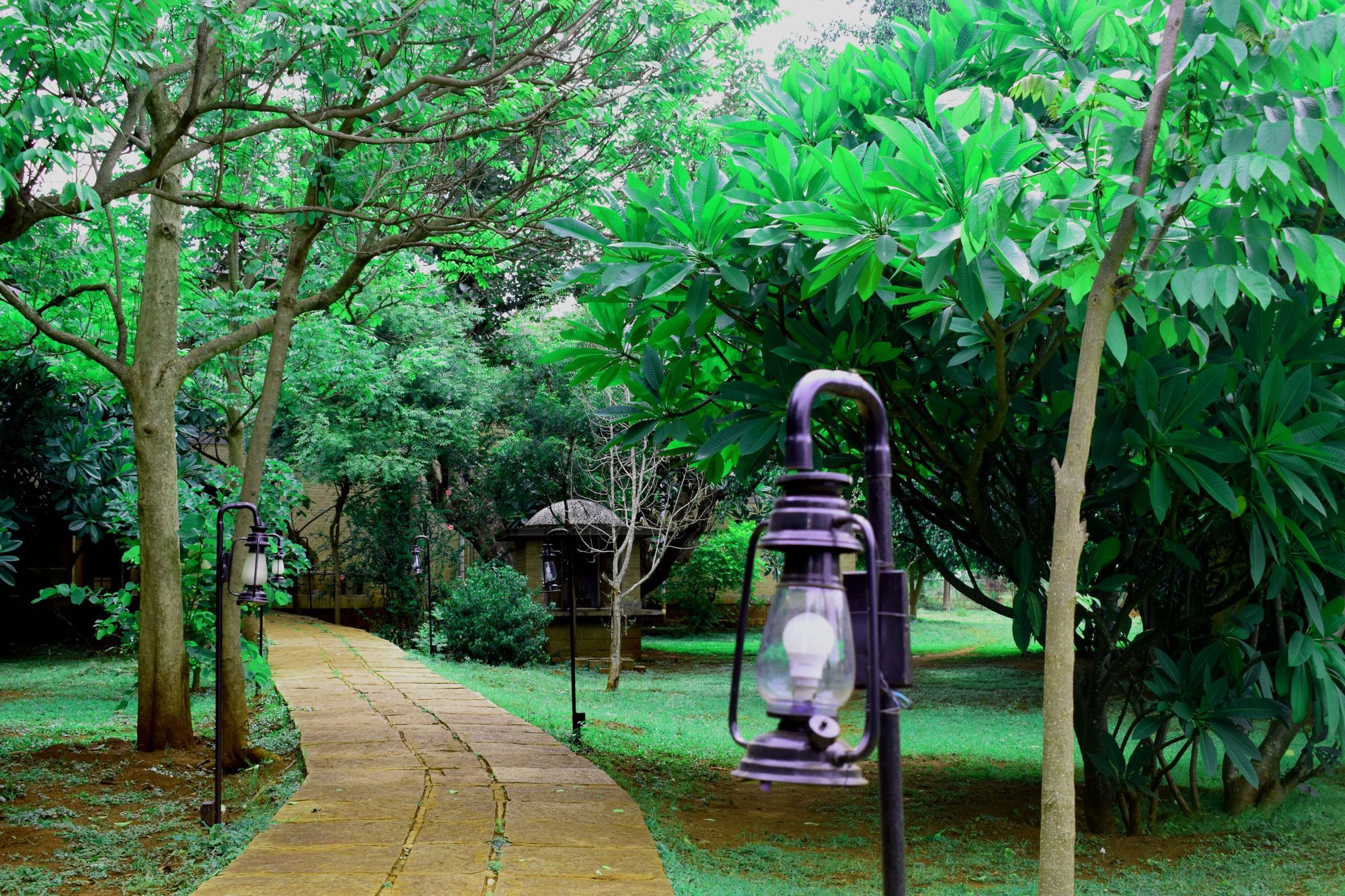 Our Native Village Gādigarpālya Exterior foto